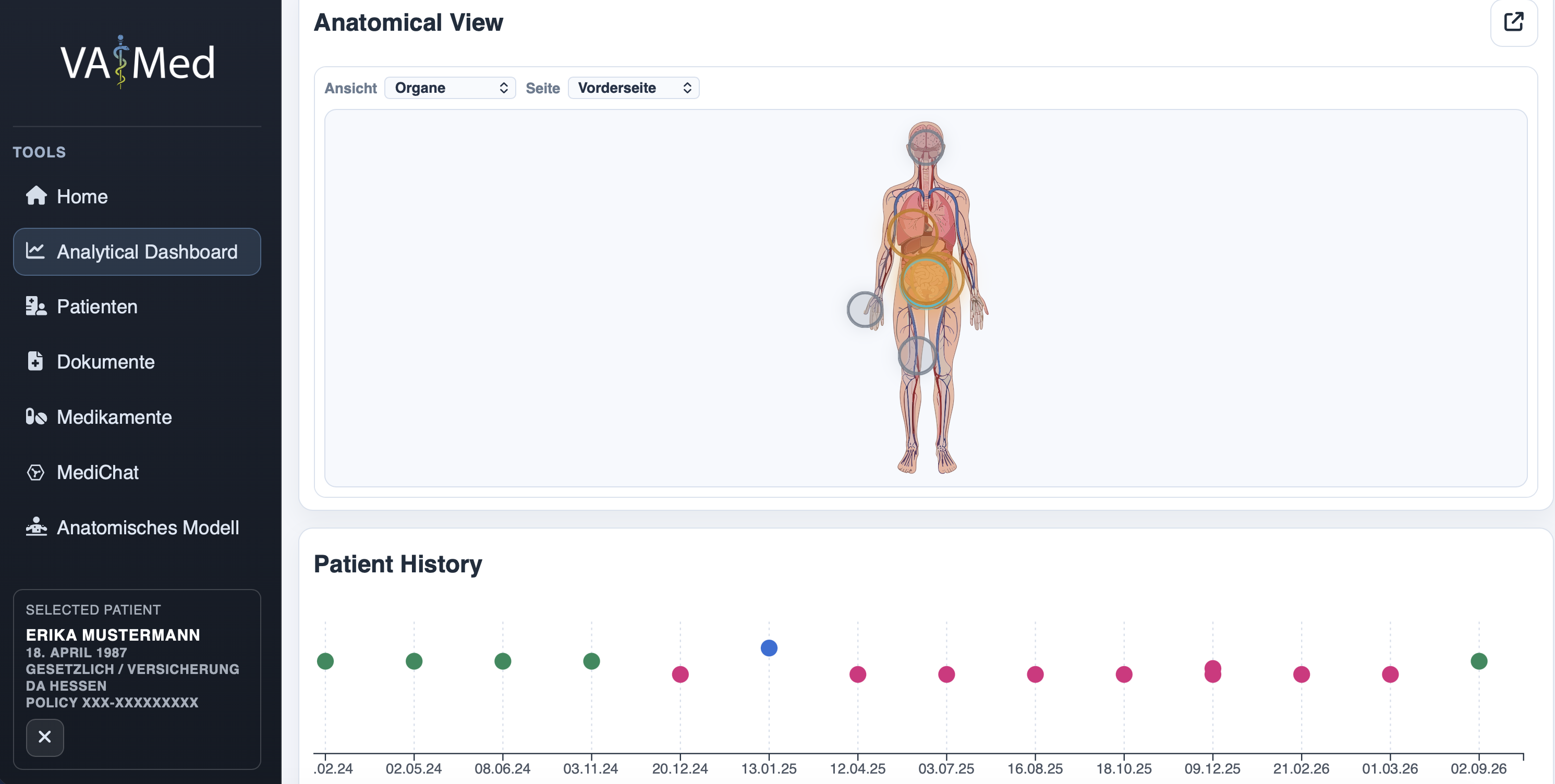 Screenshot des Medical Visual Analytics System mit fiktiver Patientenakte